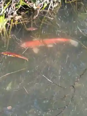 千手院(栃木県)