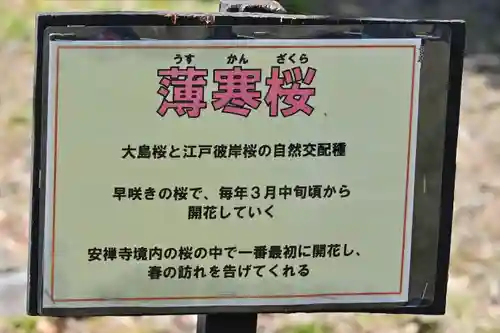 安禅寺(新潟県)