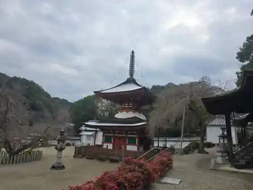 金剛寺(大阪府)
