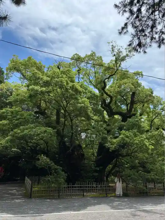 浜松八幡宮(静岡県)