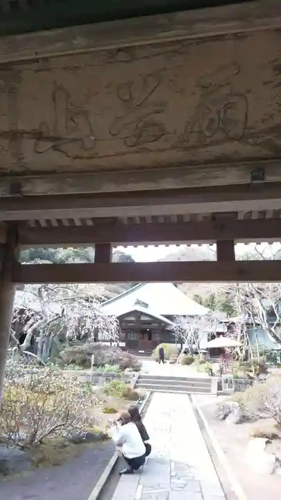 海蔵寺のその他建物