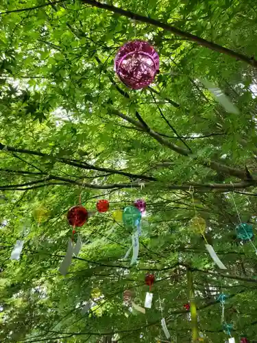 滑川神社 - 仕事と子どもの守り神の景色