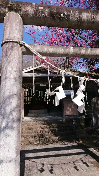賀茂別雷神社の鳥居