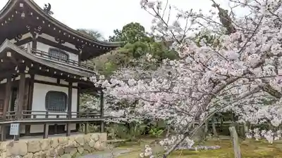 勧修寺(京都府)