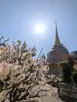 福王山 慈眼寺(東京都)