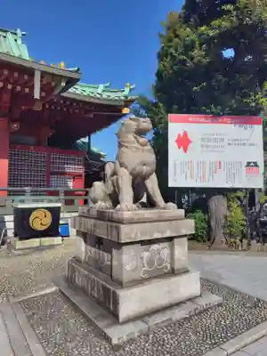 神田神社（神田明神）の狛犬
