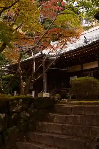 勝持寺（花の寺）(京都府)