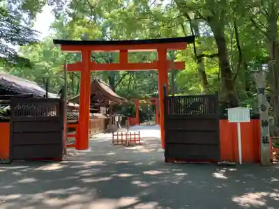 河合神社(鴨川合坐小社宅神社)の鳥居