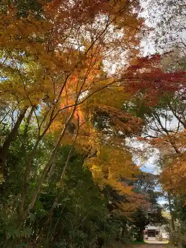 妙経寺(千葉県)