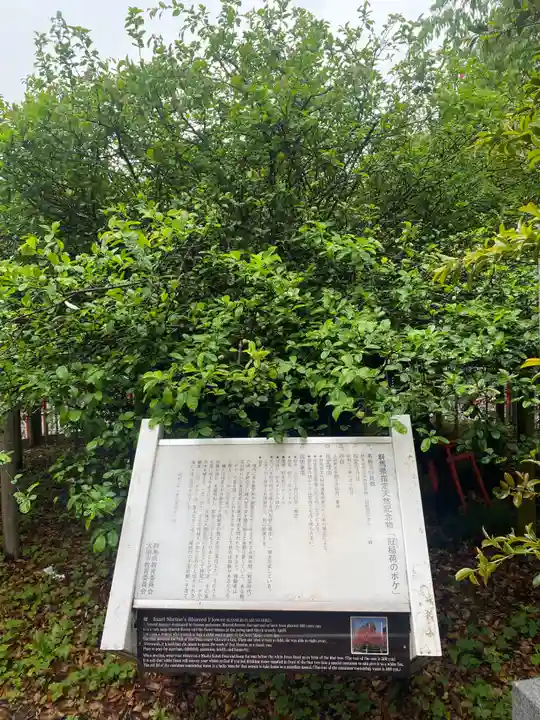 冠稲荷神社(群馬県)