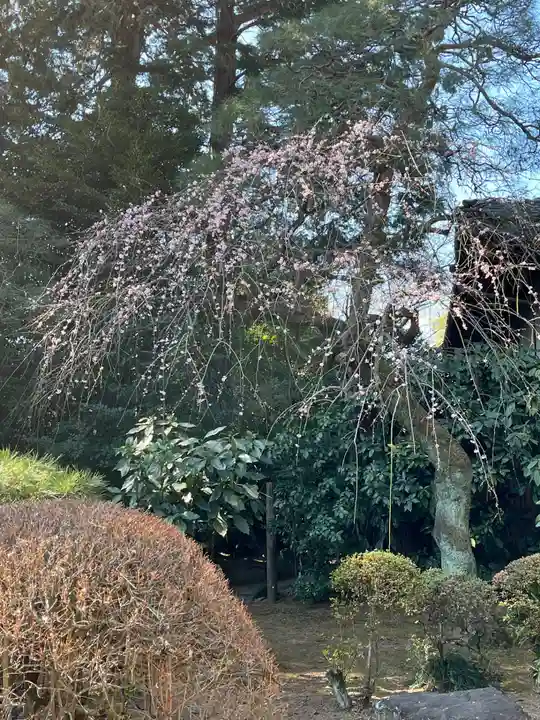 岩槻久伊豆神社(埼玉県)