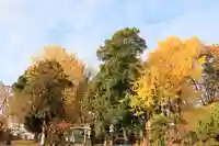 熊野福藏神社の自然