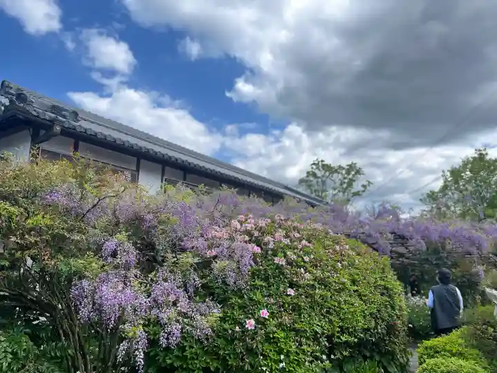 子安地蔵寺の{uncategorized: "未分類", other: "その他", undefined: "問題あり", building: "その他建物", grave: "お墓", sacred_gate: "鳥居", guardian: "狛犬", statue: "像", buddha: "仏像", history: "歴史", nature: "自然", garden: "庭園", animal: "動物", pagoda: "塔", temizu: "手水舎", mountain_gate: "山門・神門", sanctuary: "本殿・本堂", subordinate: "末社・摂社", art: "芸術", scenery: "景色", jizo: "地蔵", ema: "絵馬", goshuin: "御朱印", omikuji: "おみくじ", items: "授与品その他", amulet: "お守り", goshuincho: "御朱印帳", eats: "食事", festival: "お祭り", votive_dance: "神楽", shichigosan: "七五三参", wedding: "結婚式", experience: "体験その他", initially: "初詣", around: "周辺", anti_infection: "感染症対策"}