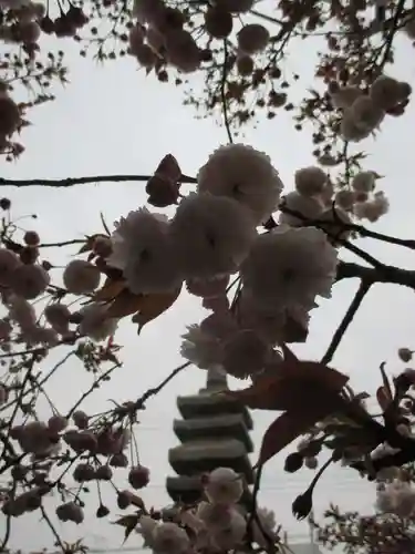 引接寺（千本ゑんま堂）の塔