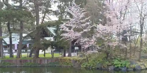 上川神社頓宮の自然