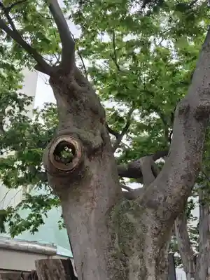 阿邪訶根神社(福島県)