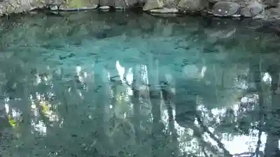 泉神社(茨城県)