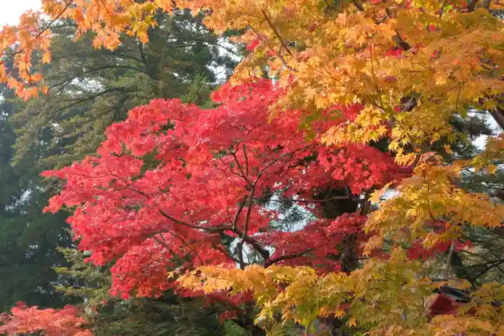 鍬山神社の自然