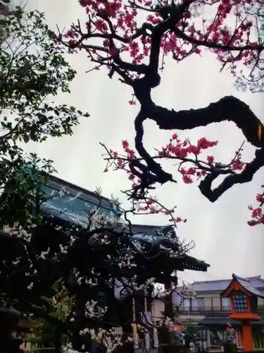 久富稲荷神社(東京都)