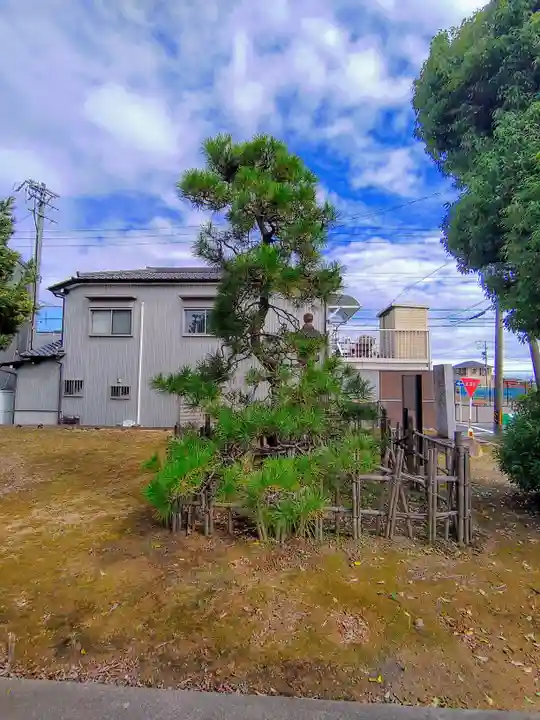 熱田社(大和)の自然