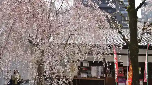 頂法寺（六角堂）のその他建物