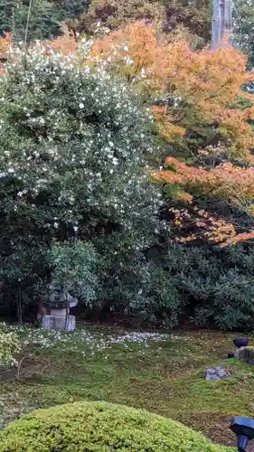 雲龍院(京都府)