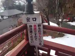 中禅寺(栃木県)