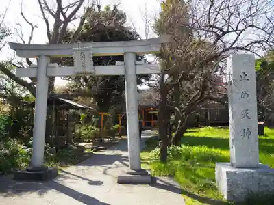 北野天神(仲六郷北野神社)の鳥居