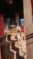 小坂子八幡神社の動物