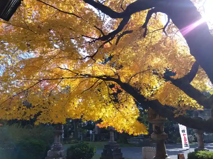 足羽神社の自然