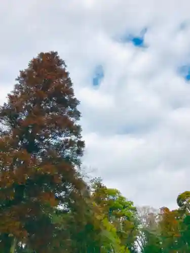 大鷲神社の自然