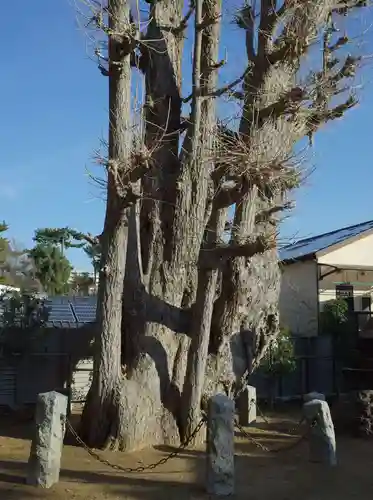 法華経寺(千葉県)
