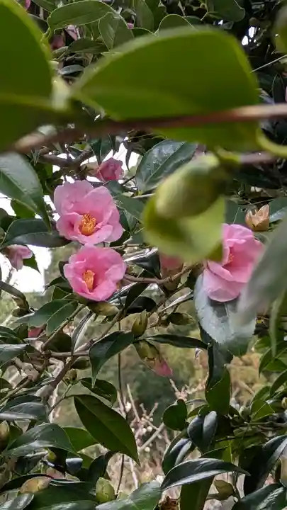 惠心院(恵心院)(京都府)