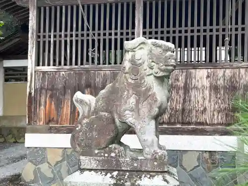 春日神社の狛犬