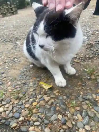 鎌数伊勢大神宮の{uncategorized: "未分類", other: "その他", undefined: "問題あり", building: "その他建物", grave: "お墓", sacred_gate: "鳥居", guardian: "狛犬", statue: "像", buddha: "仏像", history: "歴史", nature: "自然", garden: "庭園", animal: "動物", pagoda: "塔", temizu: "手水舎", mountain_gate: "山門・神門", sanctuary: "本殿・本堂", subordinate: "末社・摂社", art: "芸術", scenery: "景色", jizo: "地蔵", ema: "絵馬", goshuin: "御朱印", omikuji: "おみくじ", items: "授与品その他", amulet: "お守り", goshuincho: "御朱印帳", eats: "食事", festival: "お祭り", votive_dance: "神楽", shichigosan: "七五三参", wedding: "結婚式", experience: "体験その他", initially: "初詣", around: "周辺", anti_infection: "感染症対策"}