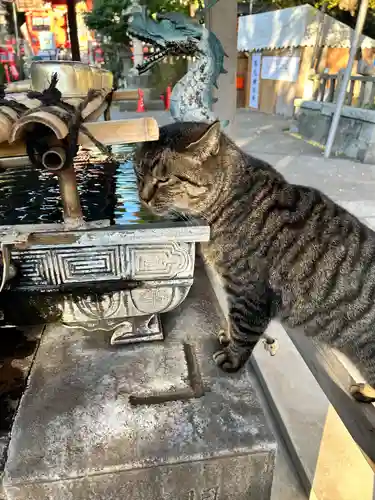 海南神社(神奈川県)