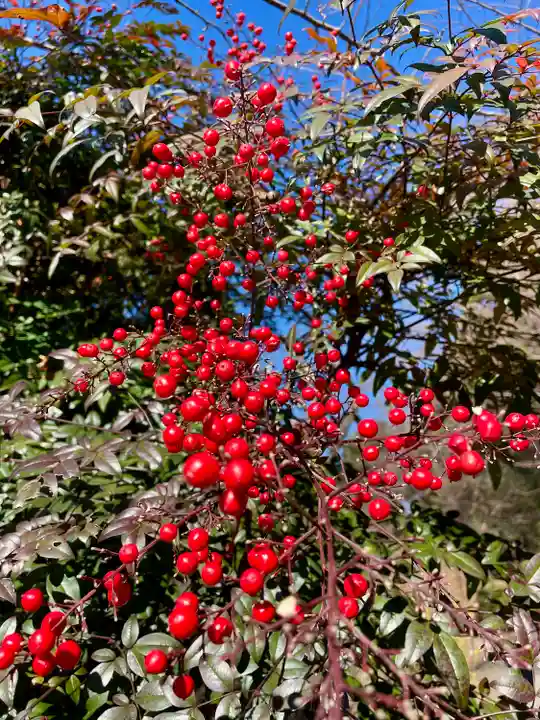 清水観音堂(東京都)
