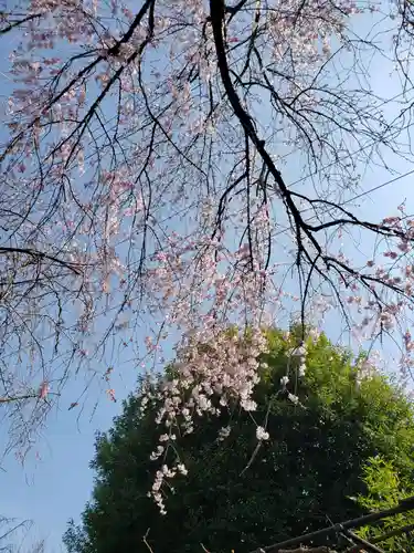 下高井戸八幡神社(東京都)