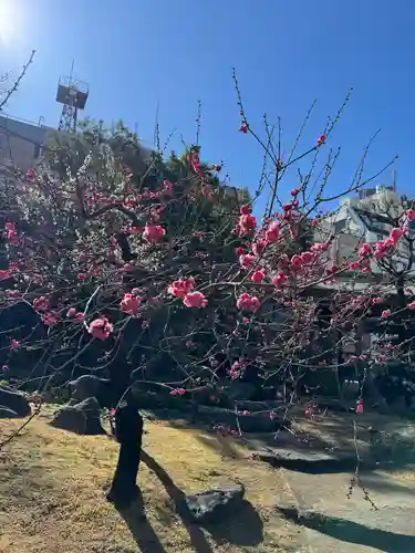 湯島天満宮(東京都)