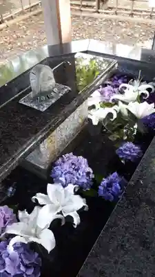 新琴似神社の手水舎