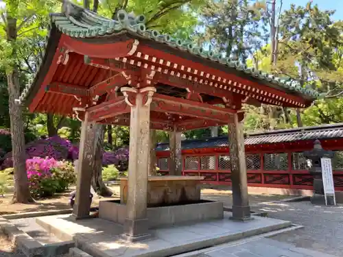 根津神社の手水