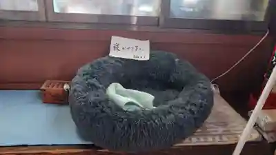 甲斐善光寺(山梨県)