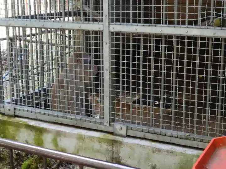 日吉大社(滋賀県)