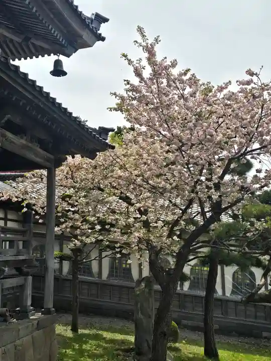 高龍寺(北海道)