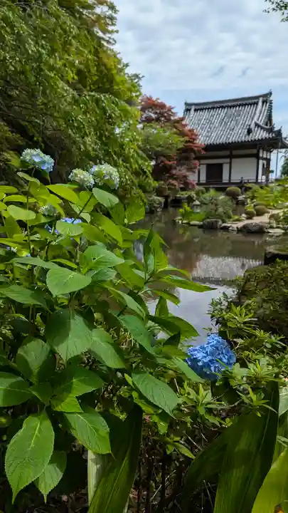 善峯寺(京都府)