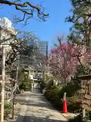 鳩森八幡神社(東京都)