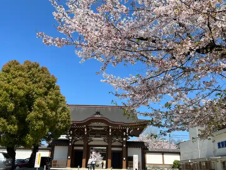 真宗大谷派名古屋別院(愛知県)