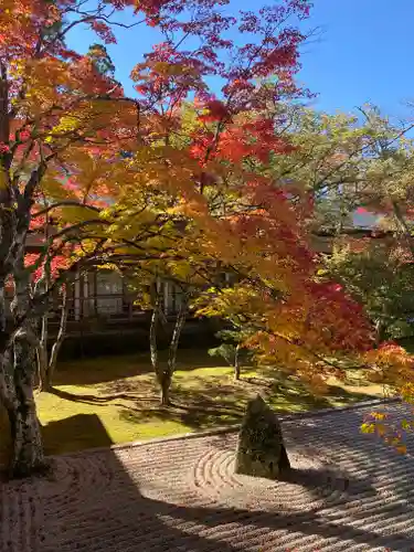 高野山金剛峯寺の庭園