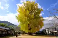 丹生酒殿神社の自然