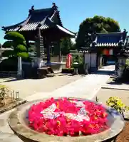 真言宗 善通寺派 薬王寺(香川県)